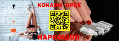 эйфоретик Славгород