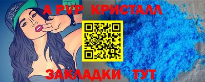 стаф Сланцы