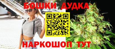 стаф Сланцы