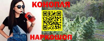 стаф Сланцы
