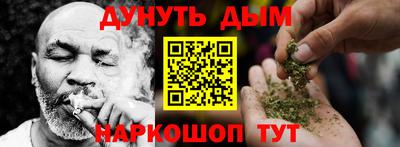 стаф Сланцы