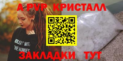 стаф Сланцы