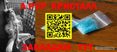 эйфоретик Славгород