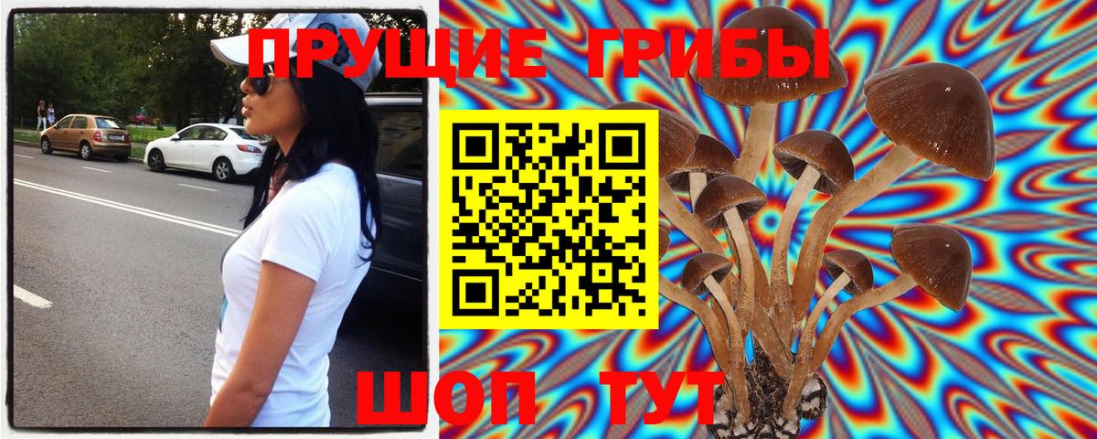 Псилоцибиновые грибы GOLDEN TEACHER  Вход с VPN  Псилоцибиновые грибы Psilocybe  Отрадный 