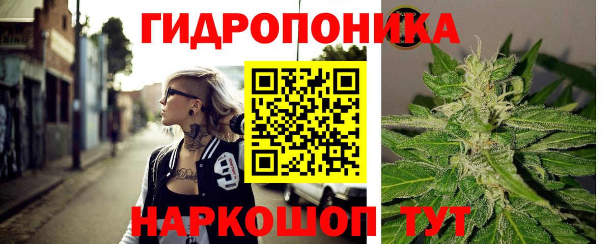 Каннабис SATIVA & INDICA  Вход с VPN  Отрадный  Бошки Шишки VHQ  Бошки Шишки индика 